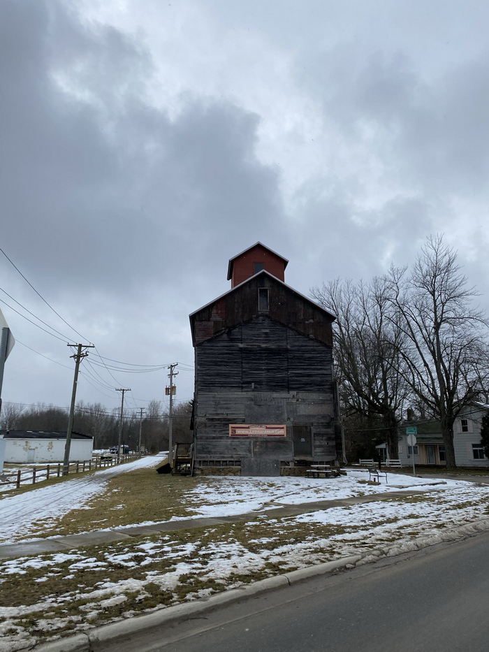 Leonard - A02june 2021 (newer photo)